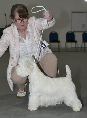 LD- Burneze Reach For The Stars