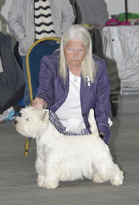 LD- Oh Karol Vixan into Hopecharm