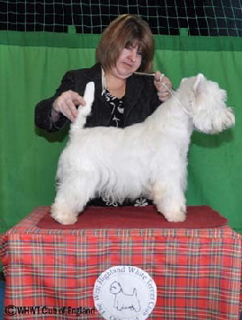 LIZANDYCRIS CHECK ME OUT LIZANDYCRIS CHECK ME OUT