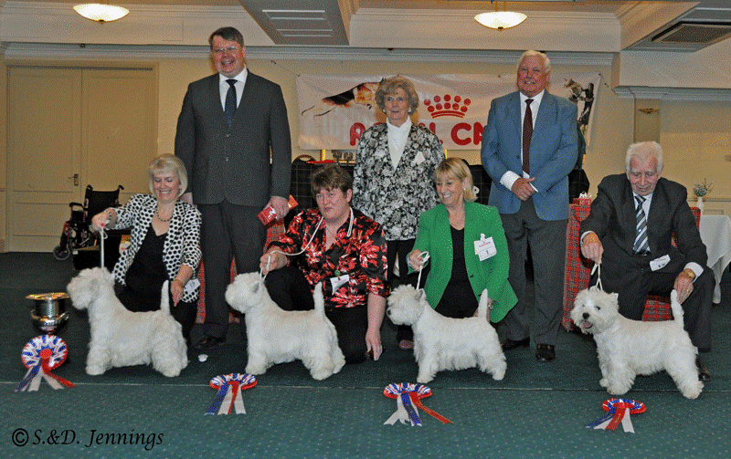 LineUpWoty12 LineUpWoty12