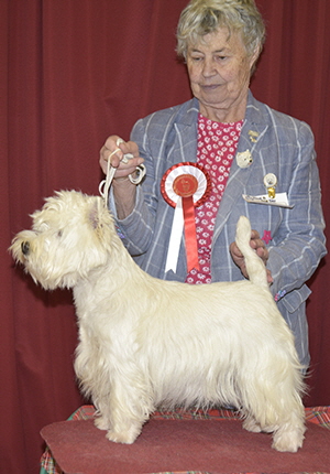 MLB.RBB- Hillcloud Echowave by Ashgate MLB.RBB- Hillcloud Echowave by Ashgate