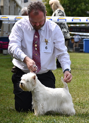 MLB_ Brxquin Especially For You