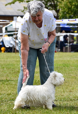 MLB_Hillcloud Echowave By Ashgate JW