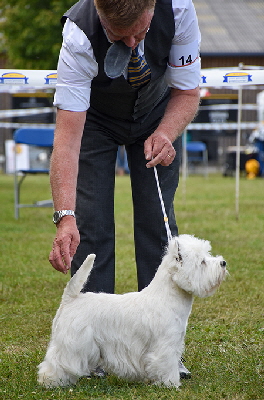 MLD_ Hopecharm Fizzing Whizzbee