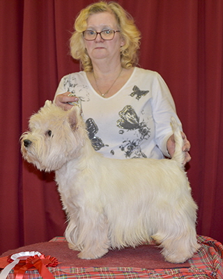 MLD.RBD - Mac Too Hi Ho Silver MLD.RBD - Mac Too Hi Ho Silver