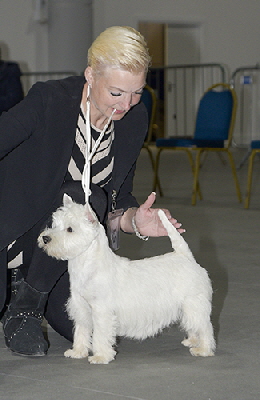 MPB - 2nd Zackshine Nordic Breeze at Cherryleague