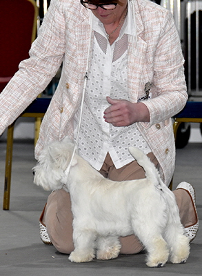 MPB-Burneze Maid To Measure