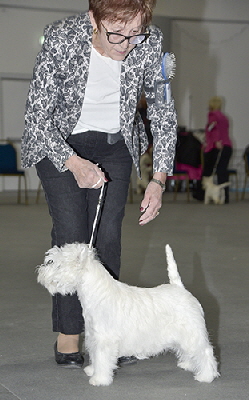 MPB-Karamynd Press The Button