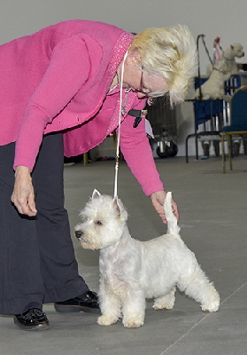 MPD - Lynnsto Tommy Gun