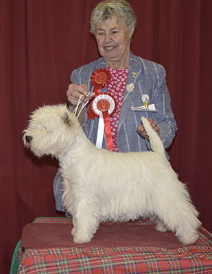 NB - Ashgate Kelso NB - Ashgate Kelso