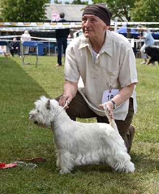 NB_Westigo Lucky Chance