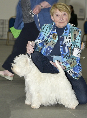 OB - Ch Maxula Vanilla Ice Cream