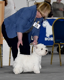 Open Bitch Morning 2