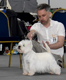 Open Bitch Morning 3