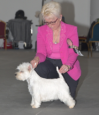 PB - Villainvake High Hopes fot Lynnsto