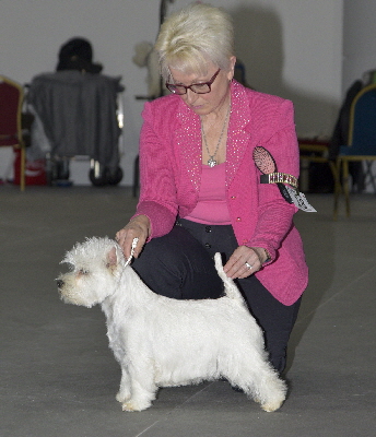 PB - Villainvake High Hopes fot Lynnsto1