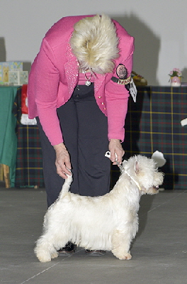 PD- Lynnsto Kingsman