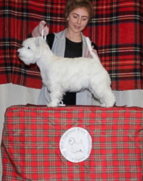 PEAKSTONES MIA MAXI_crop PEAKSTONES MIA MAXI_crop