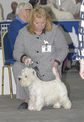 PGD- Fourastay Flapjack