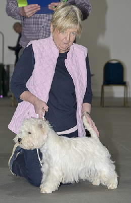 PGD-Frisbeck Horn Pipe