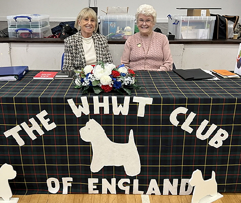 President & Vice President