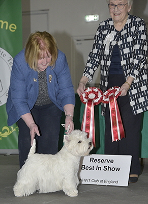 RBIS-Ch Lingbeck Hold The Dream