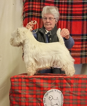 REIFRANDIES ESPIRIT D’AMOUR_crop REIFRANDIES ESPIRIT D’AMOUR_crop