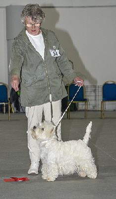 SBB- Fourastay Fine Design