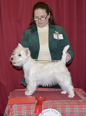 SBDorB - Allangood of Starwinter SBDorB - Allangood of Starwinter