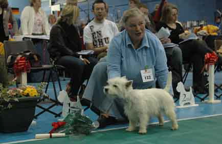 SpecBeginnersDogNo1.jpgWeb SpecBeginnersDogNo1.jpgWeb