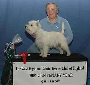 SpecBeginnersDogNo2.jpgWeb SpecBeginnersDogNo2.jpgWeb