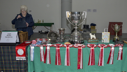 Trophy table