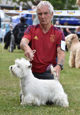 VD.B_ Ch Andjoliam Silent Witness