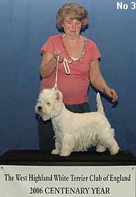 a_LimitBitchNo3eb a_LimitBitchNo3eb