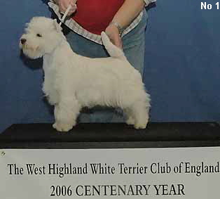 a_MaidenBitchNo1Web a_MaidenBitchNo1Web