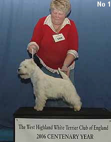 a_MaidenDogNo1Web1 a_MaidenDogNo1Web1