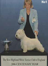 a_OpenDog1_1 a_OpenDog1_1