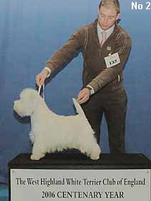 a_OpenDog2_1 a_OpenDog2_1