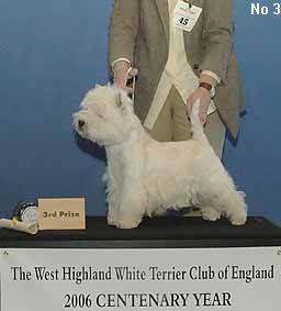 a_OpenDog3_1 a_OpenDog3_1