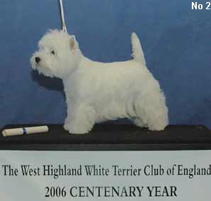 a_PostGradBitchNo2Web a_PostGradBitchNo2Web