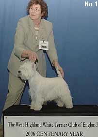 a_PuppyBitchNo1Web a_PuppyBitchNo1Web