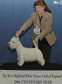 a_PuppyBitchNo2Web a_PuppyBitchNo2Web