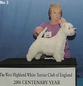 a_PuppyBitchNo3Web a_PuppyBitchNo3Web