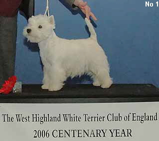 a_SpecBeginnersBitchNo1Web a_SpecBeginnersBitchNo1Web