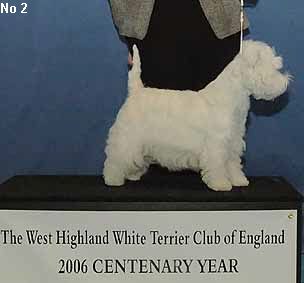 a_SpecBeginnersBitchNo2Web a_SpecBeginnersBitchNo2Web