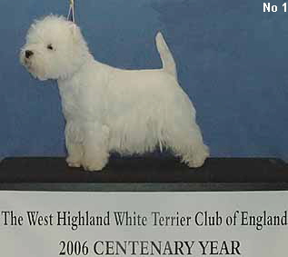 a_TyroBitchNo1Web a_TyroBitchNo1Web