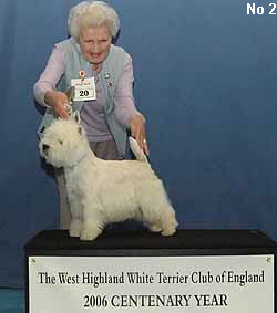 a_TyroBitchNo2Web a_TyroBitchNo2Web