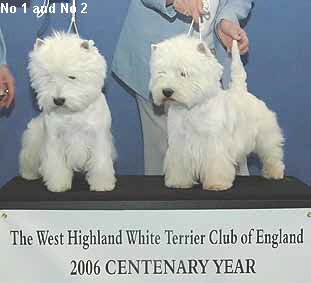 a_VeteranNo1No2Web a_VeteranNo1No2Web