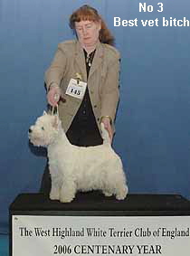 a_VeteranNo3BestBitcheWeb a_VeteranNo3BestBitcheWeb