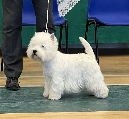 fd8ed4ab-44c3-414b-846c-9830605b46a3